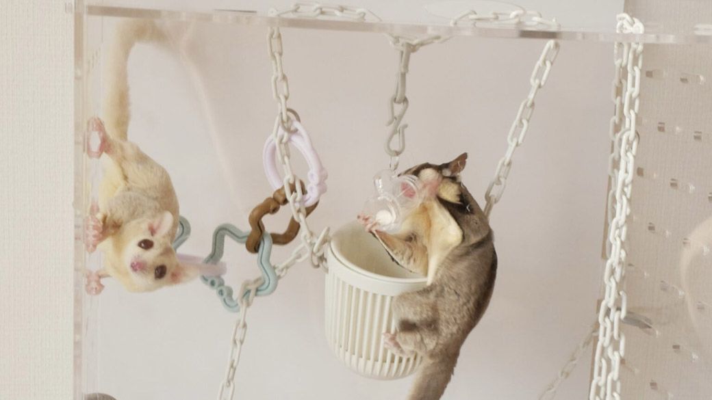 （写真：ひろさん提供）