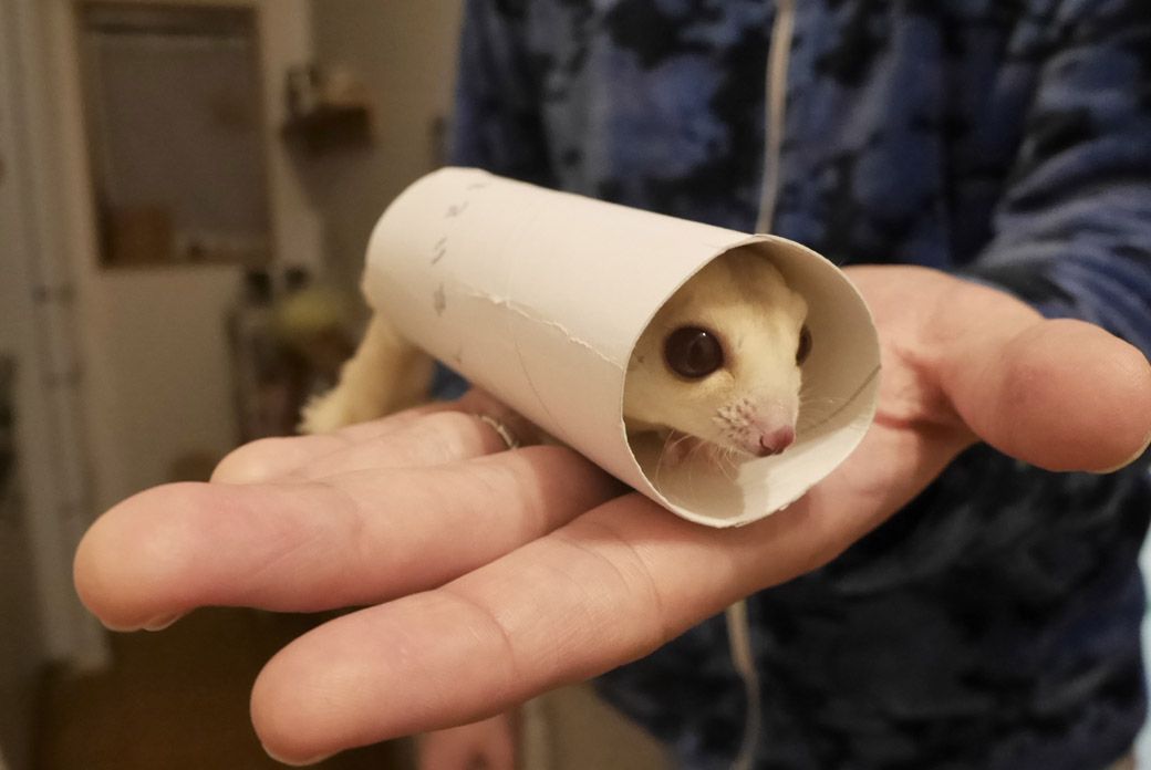 （写真：ひろさん提供）