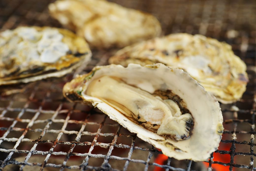 牡蠣小屋によって持ち込みのルールなどは異なるので事前に確認しておきたい（写真：Nori / PIXTA）