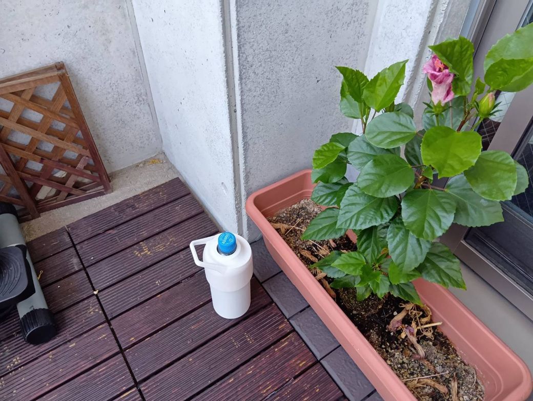 検証中の写真（著者撮影）