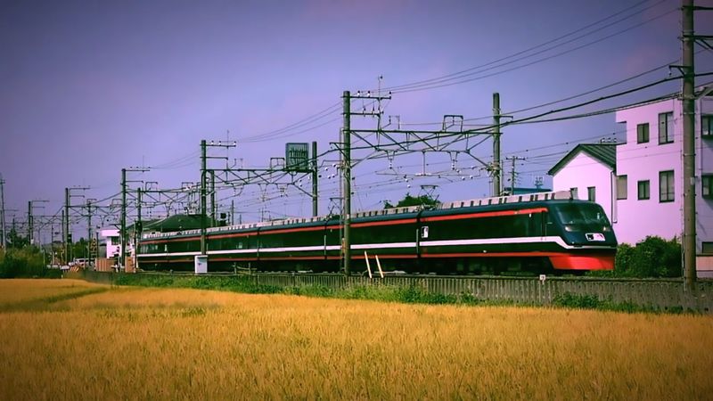 200系 MLB Tokyo Series開催記念ラッピング（姫宮2025年夏）（筆者撮影）