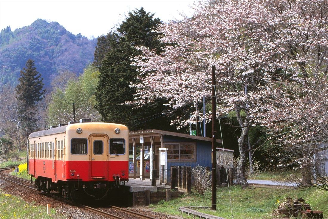 小湊鉄道は都心から近いローカル線として鉄道ファンだけでなく観光客の人気を集める（撮影：南正時）