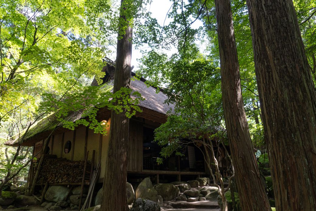 唯一無二のロケーションのなかでは、スマートフォンを見ながら食事をするひとは誰ひとり見かけない（筆者撮影）