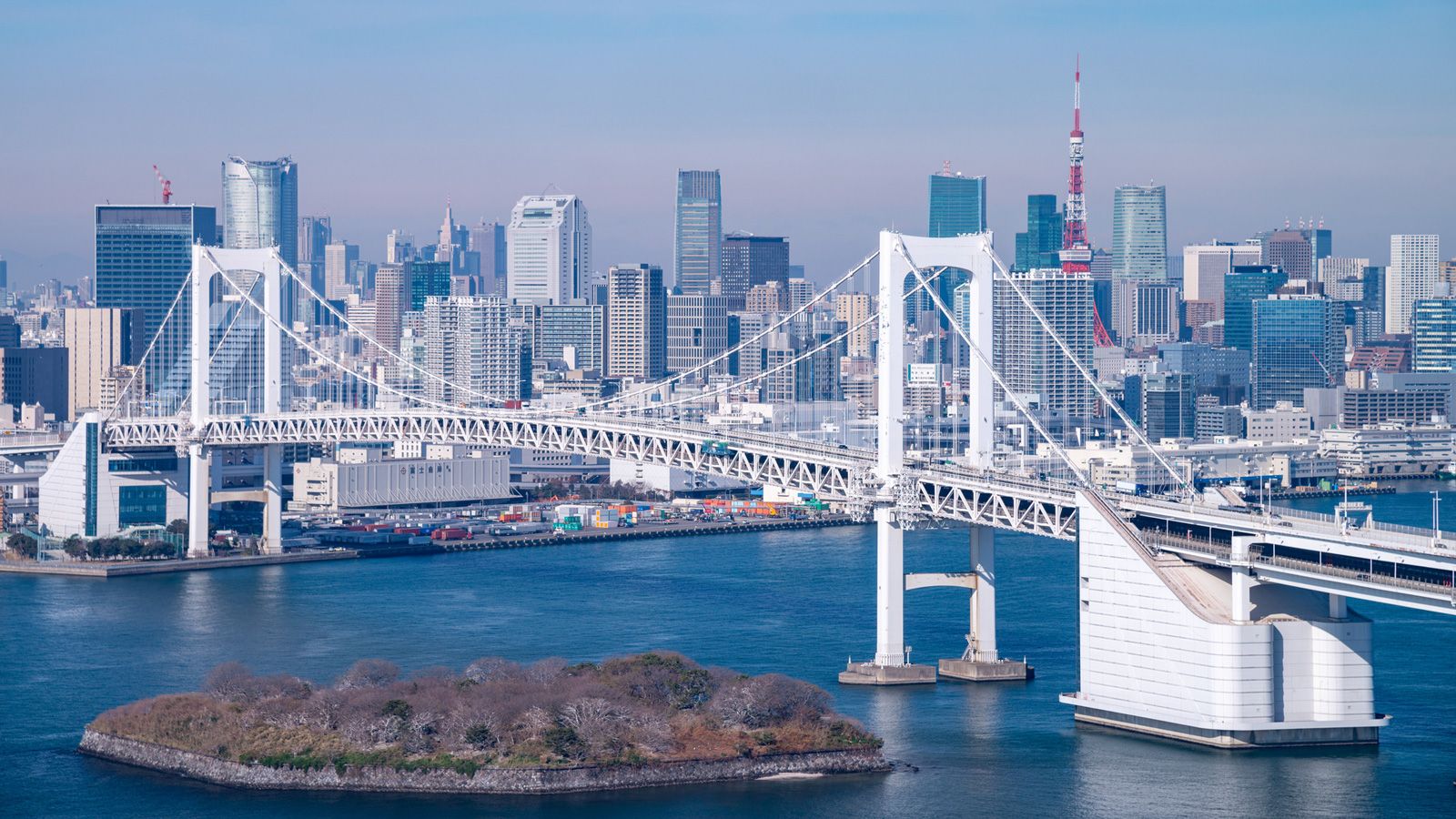 汚れた海 東京湾 は本当に回復しているのか 雑学 東洋経済オンライン 経済ニュースの新基準