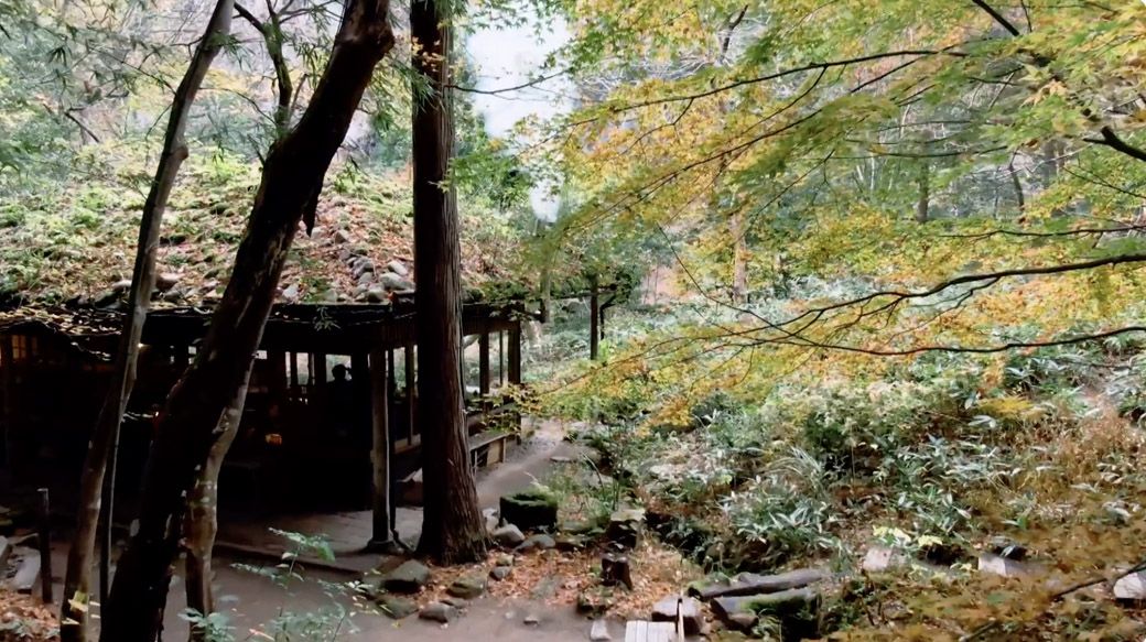 山深いこの場所に、日本のみならず世界中から人が訪れる。美しい｢日本の原風景｣の世界観に魅了されて…。10月後半から11月後半にかけては紅葉が美しい（みたき園提供）