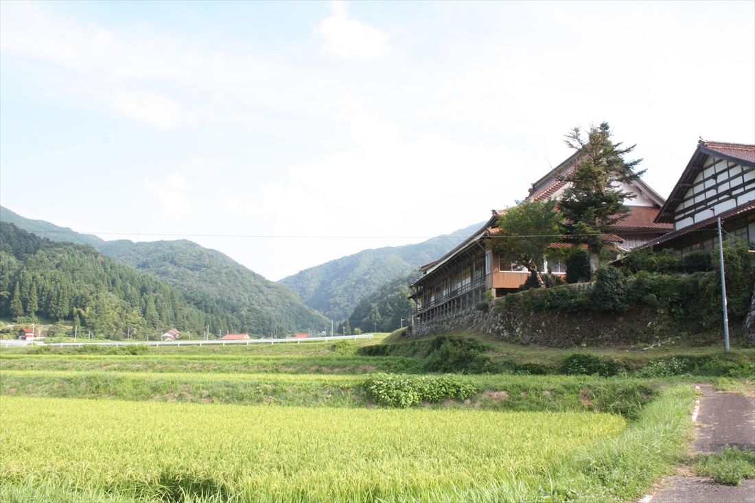 （新線）波佐駅は現在の浜田市金城町長田にある浄蓮寺（右）の近くに整備する計画だった。ここも用地買収や工事が行われた形跡は見つからなかった（筆者撮影）