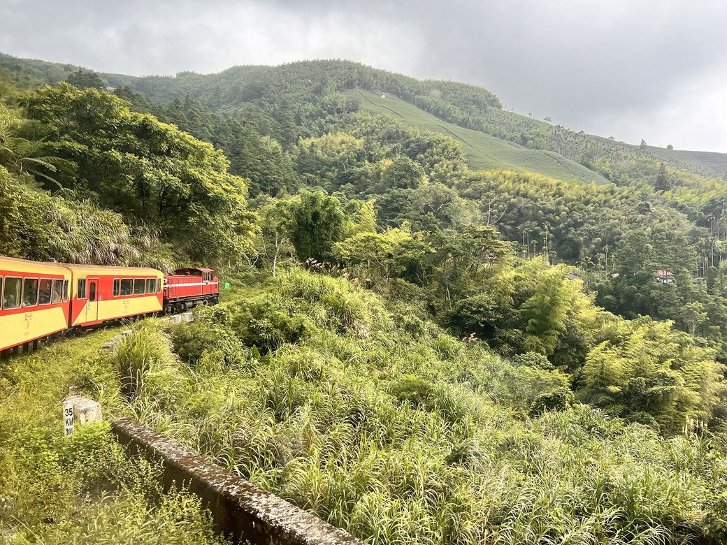 阿里山鉄道。標高約1000ｍの山間部を走る（写真：筆者撮影）