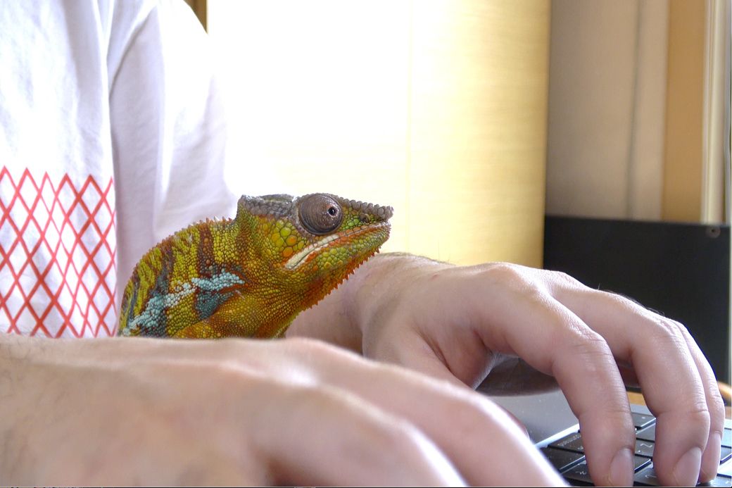 （写真提供：山村さん）