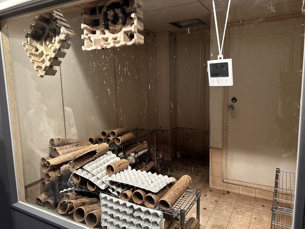 見学ツアーいちばんの見所「ゴキブリ部屋」。6畳ほどの空間に60万匹ものワモンゴキブリを放し飼いにしている。実際にこの室内にも入室させてもらったが、強烈な臭いが充満していた（筆者撮影）