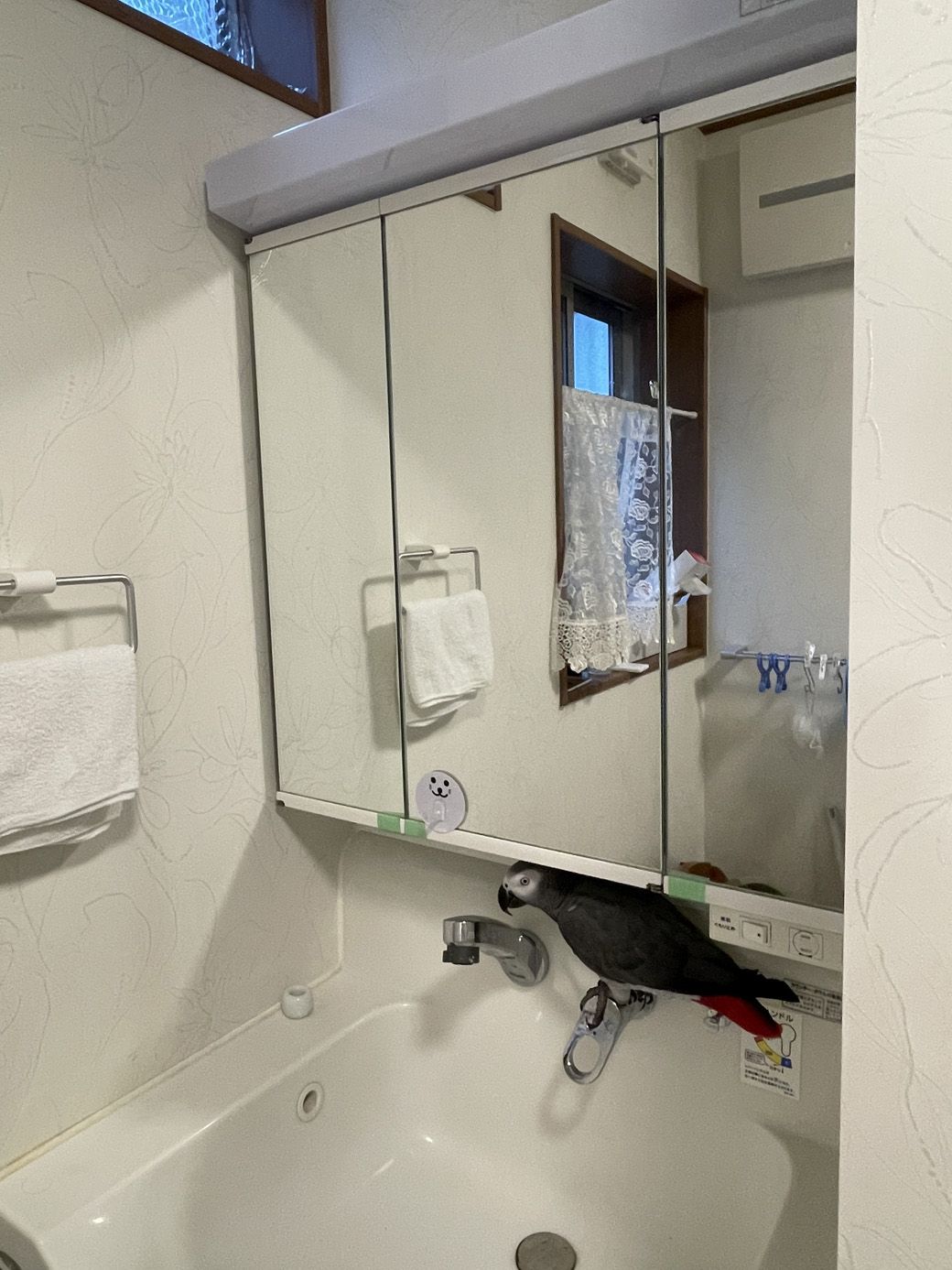 （写真提供：カマタさん）