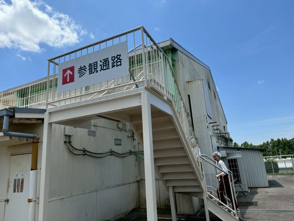 工場見学の様子（写真：石井食品提供）