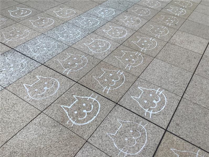 床一面に描かれたにゃっぽり