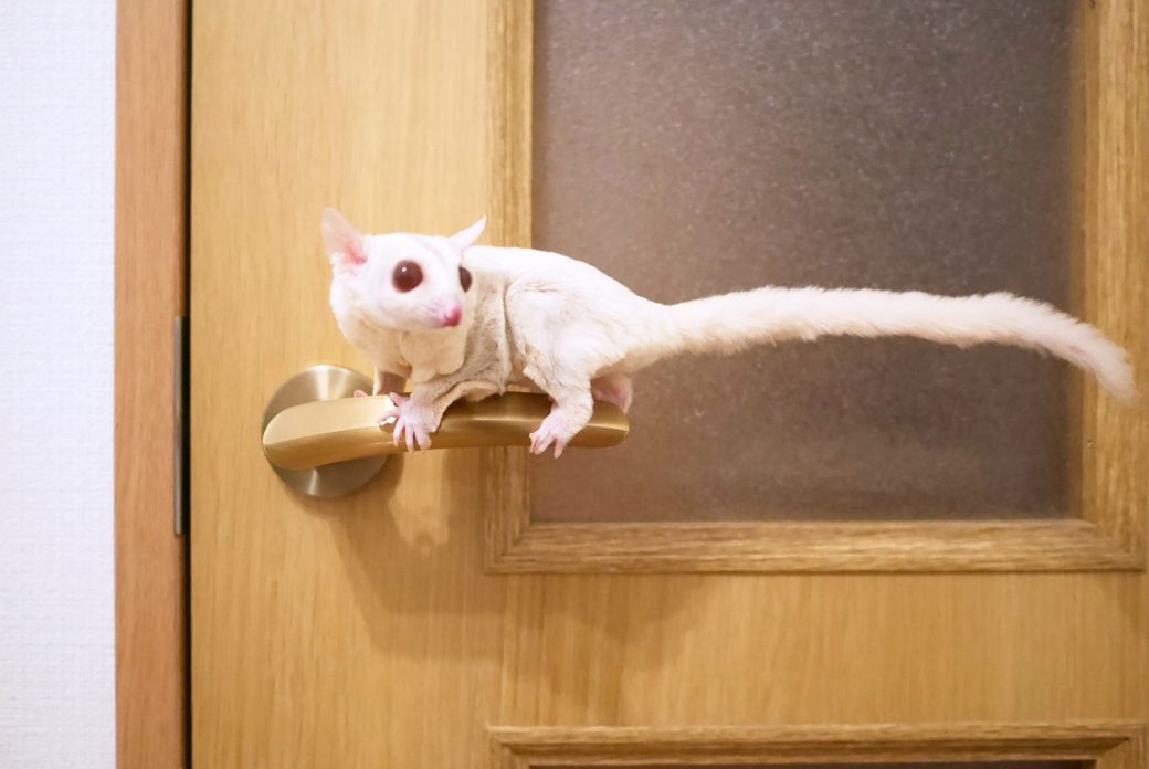 （写真提供：ひろさん）