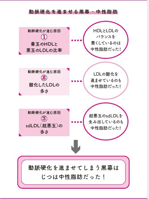 動脈硬化を進ませる黒幕・中性脂肪