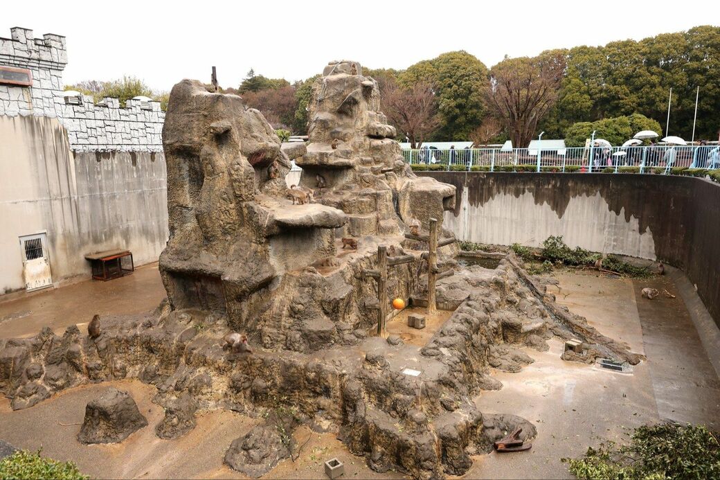 市川市動植物園　パンチくん