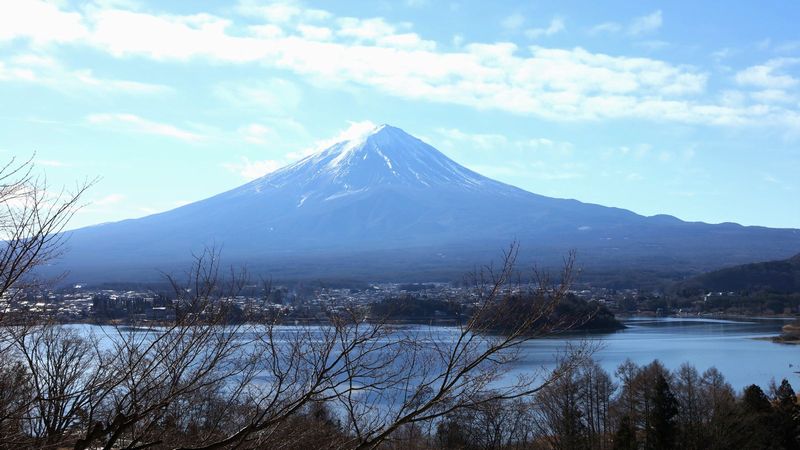 一歩前進｢富士登山鉄道｣､今年は正夢になるか 既存の道路を活用してLRT敷設､ハードルは高い | ローカル線･公共交通 | 東洋経済オンライン