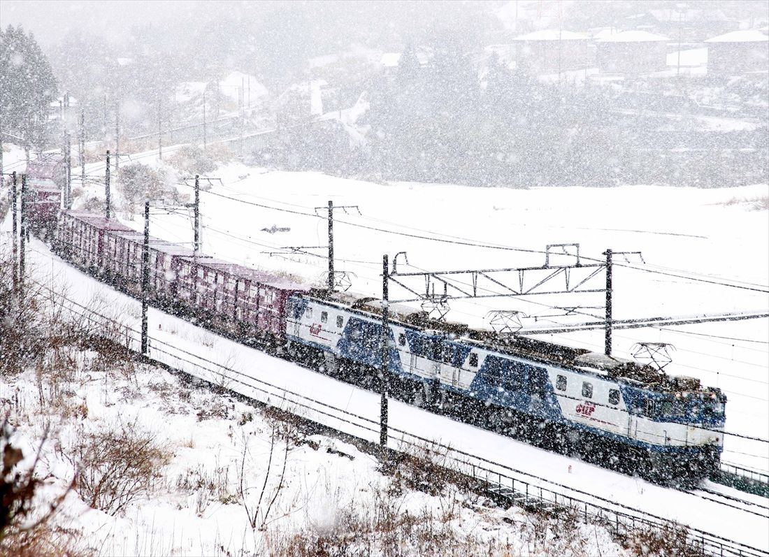 吹雪の上越線沼田付近を走るEF64形1000番台重連が牽引する貨物列車（撮影：南正時）