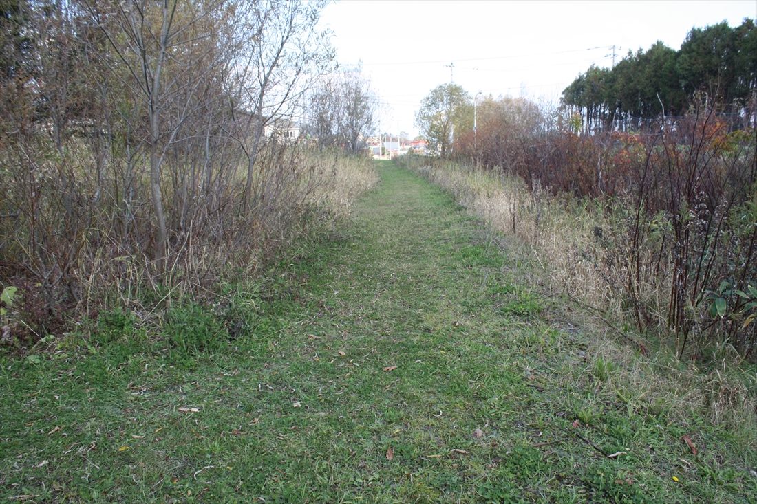 北見枝幸―南枝幸（信）間：中心市街地から離れると美幸線の路盤が現れた（筆者撮影）