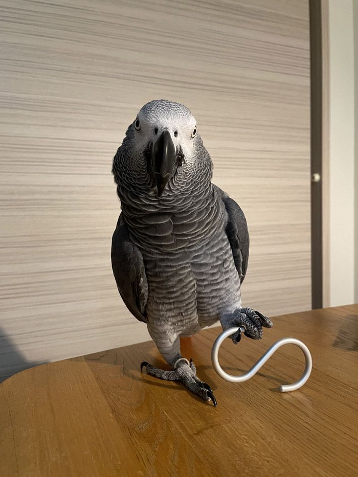 （写真提供：カマタさん）