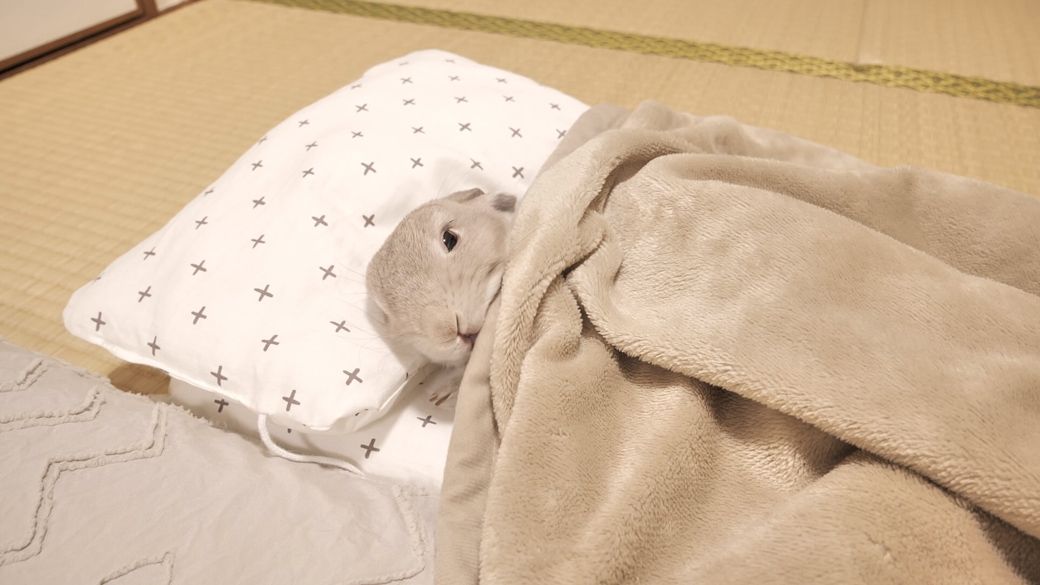 （写真提供：やすさん）
