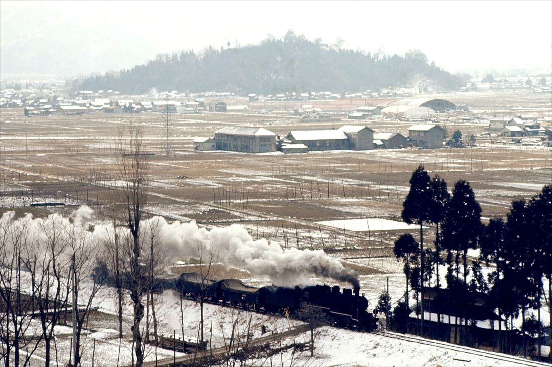 雪景色の大野盆地を走る8620形牽引の越美北線貨物列車（撮影：南正時）