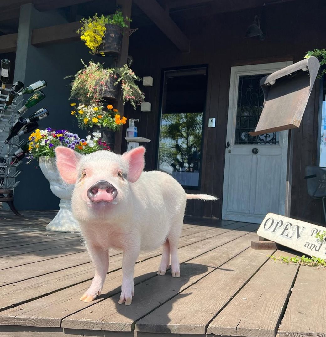 ブタOKのカフェの前で記念撮影（写真提供：しおりさん）