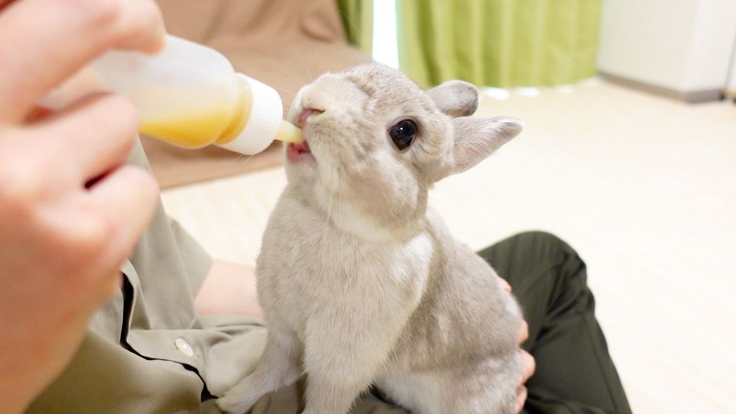 （写真提供：やすさん）