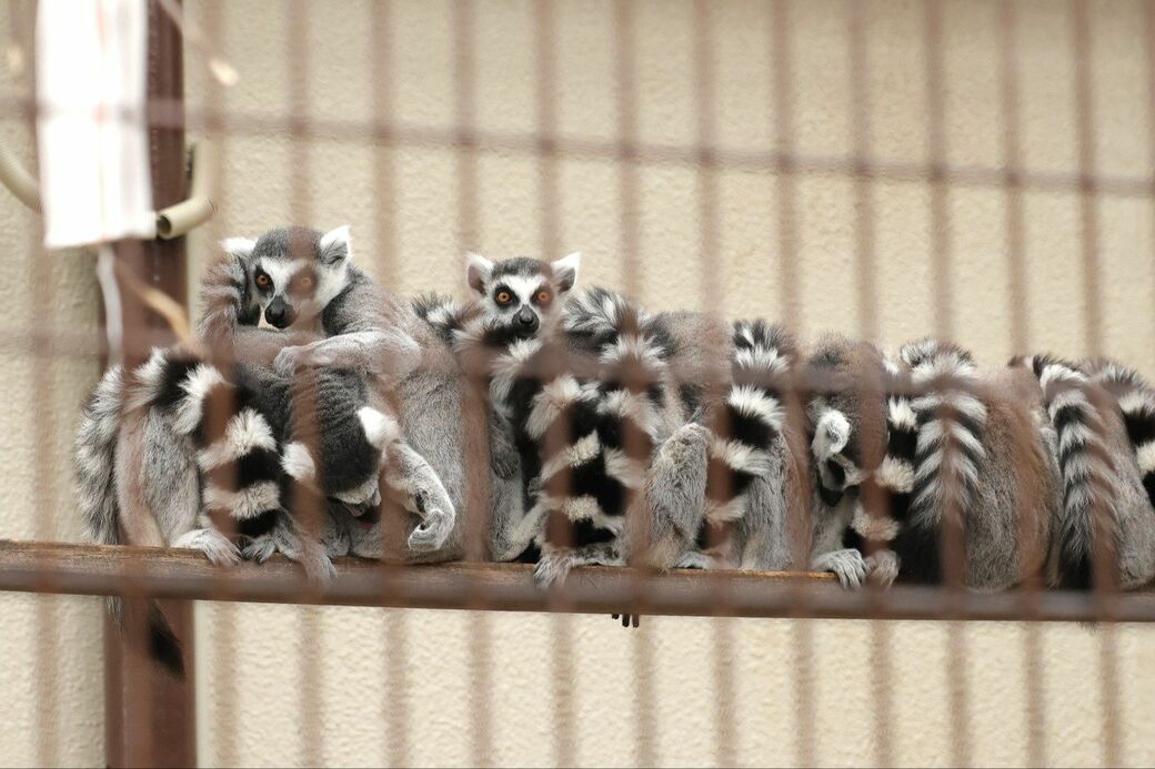 市川市動植物園