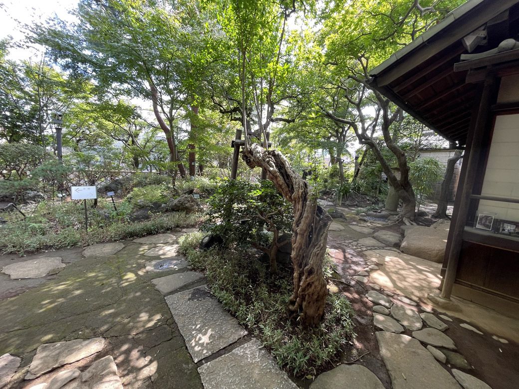 林芙美子記念館内 趣のある中庭。150円でこれが楽しめるのは嬉しい（筆者撮影）