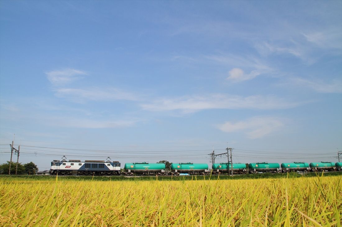 東北本線蓮田付近を走るEF64形1000番台牽引の貨物列車（撮影：南正時）