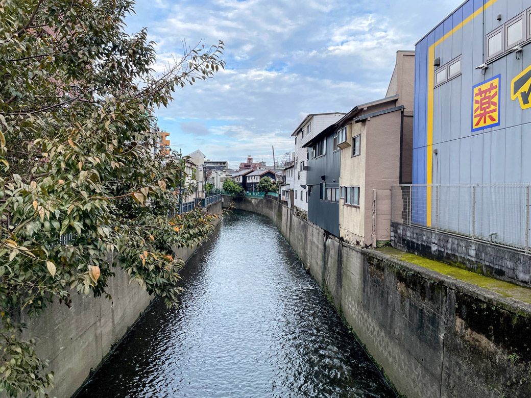寺斉橋から見た妙正寺川（筆者撮影）