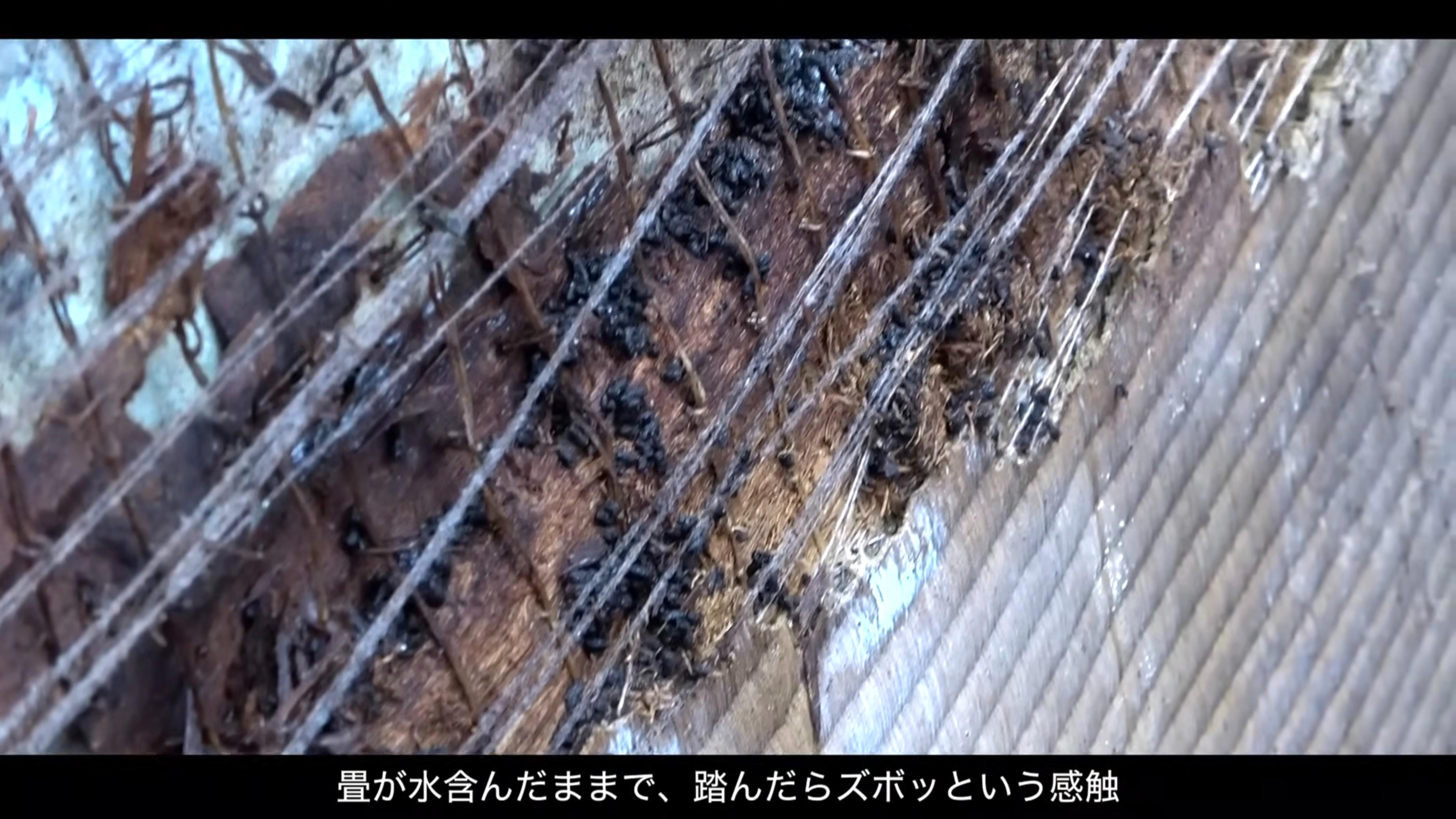 実家の片付け
