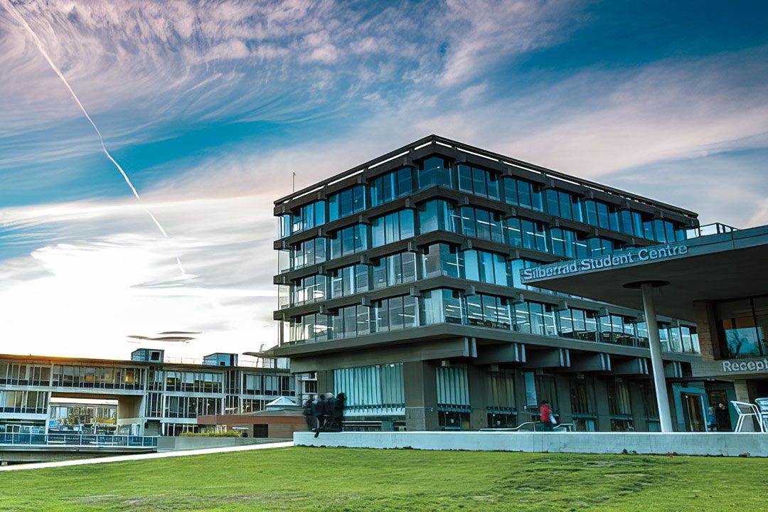 イギリス国立エセックス大学のキャンパス