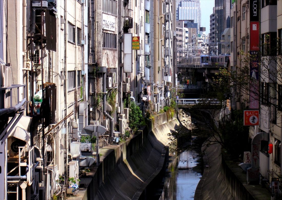 渋谷川から見た東急東横線（撮影：南正時）