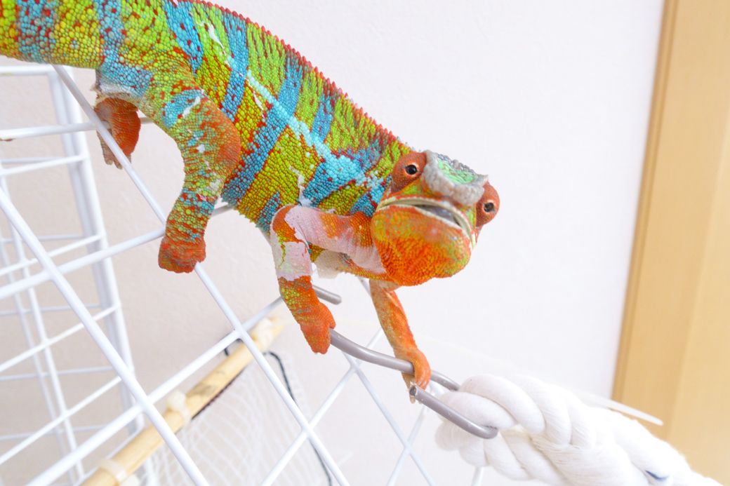 （写真提供：山村さん）