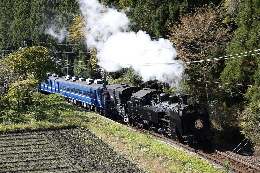 秋の東武鬼怒川線を走るC11形207号機牽引の「SL大樹」＝2019年（撮影：南正時）