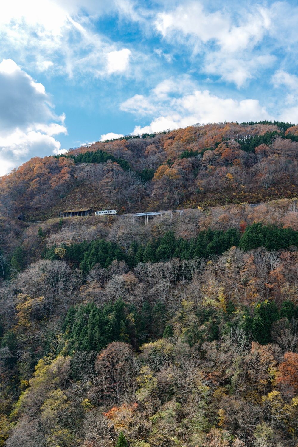 奥出雲の山をループ線で越えてゆく木次線。2023年までは観光列車「奥出雲おろち号」が走っていた（撮影：鼠入昌史）
