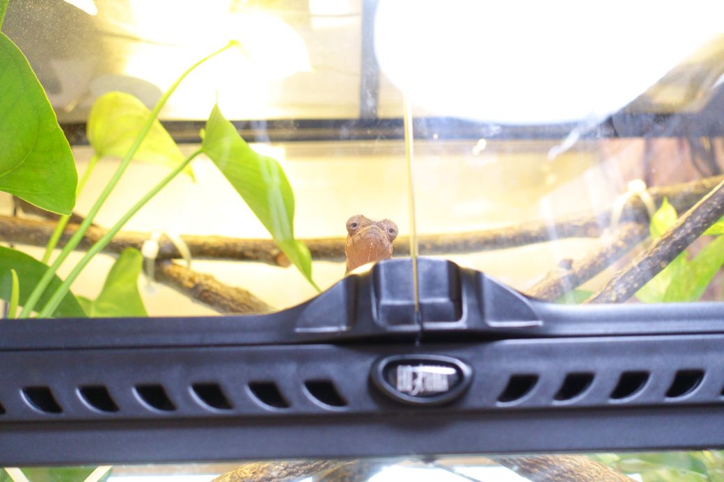 （写真提供：山村さん）