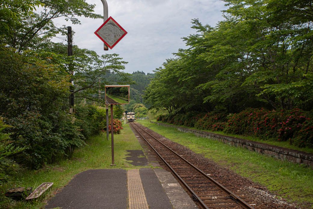 森の奥へに消えていくような列車（写真：筆者撮影）