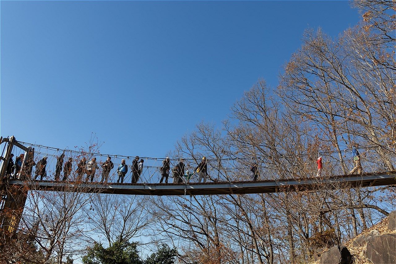 2025年12月にモビリティリゾートもてぎで開催されたホンダの株主優待イベントの様子（写真：三木 宏章）