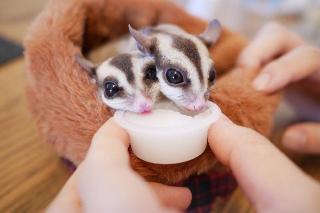 （写真：ひろさん提供）
