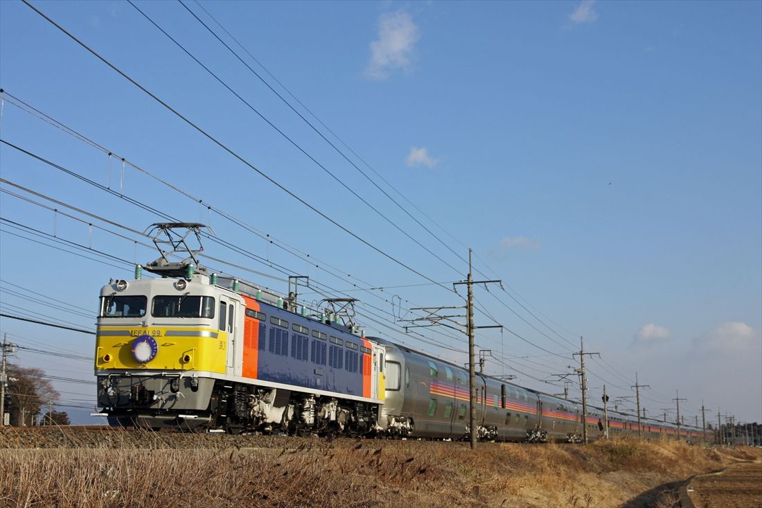 専用塗装のEF81形が牽引する寝台特急「カシオペア」（撮影：南正時）