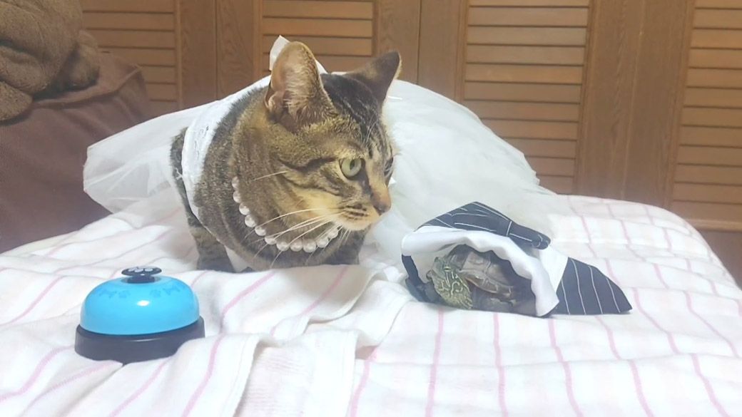 （写真提供：あめちさん）