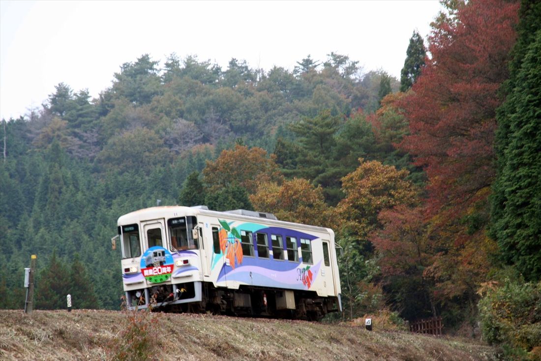 明知鉄道開業20周年のヘッドマークを付けた列車＝2005年（撮影：南正時）