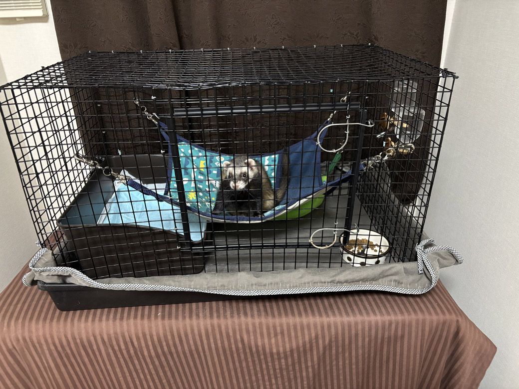 息子さんからそのまま譲り受けた飼育セット。におい防止のため、ハンモックは頻繁に洗濯している（写真提供：ミキさん）