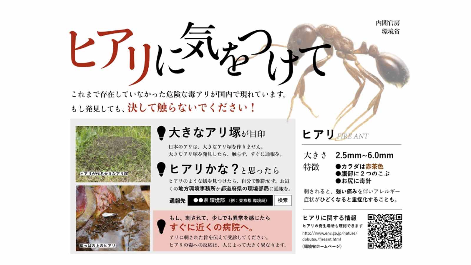 日本はヒアリの息の根を本当に止められるか 災害 事件 裁判 東洋経済オンライン 経済ニュースの新基準