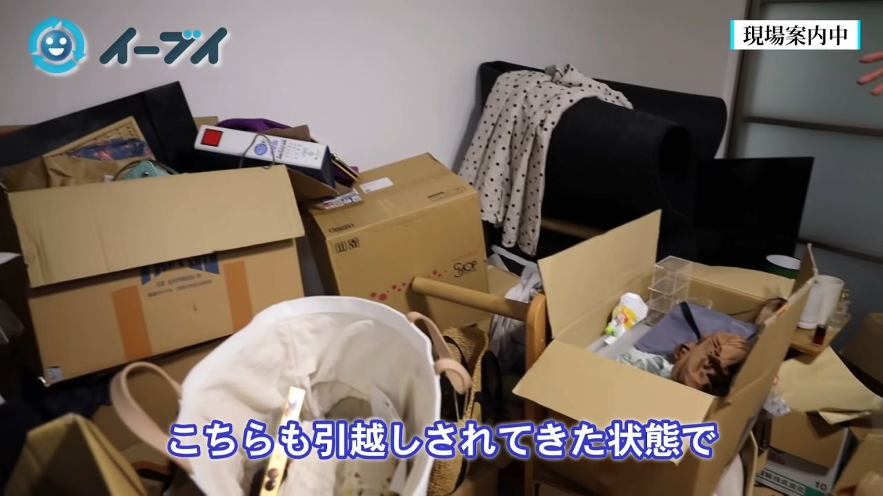 （写真：「イーブイ片付けチャンネル」より）