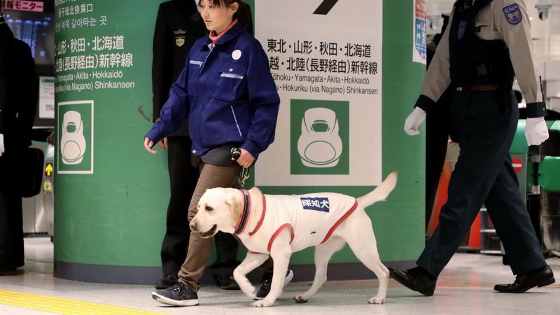 新幹線や駅のテロ対策､｢探知犬｣は役に立つ？ 優れた嗅覚で危険物を特定､運用には難しさ | 駅･再開発 | 東洋経済オンライン