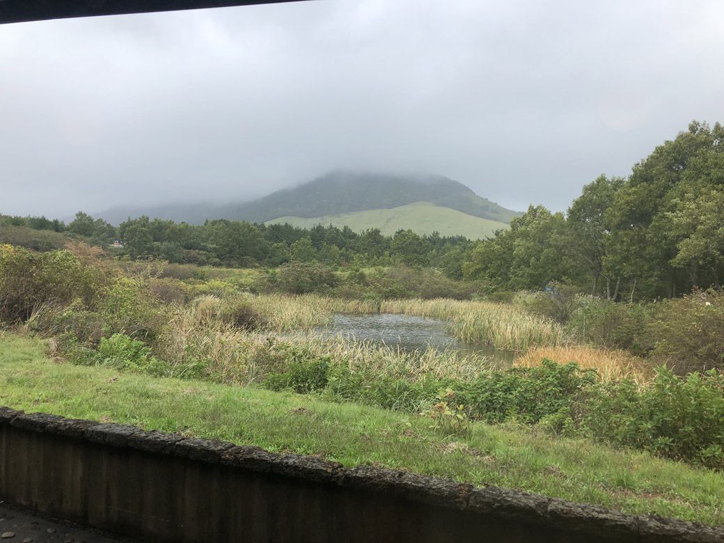 山と草木が織りなす風景に心ほぐれる場所だ（筆者撮影）