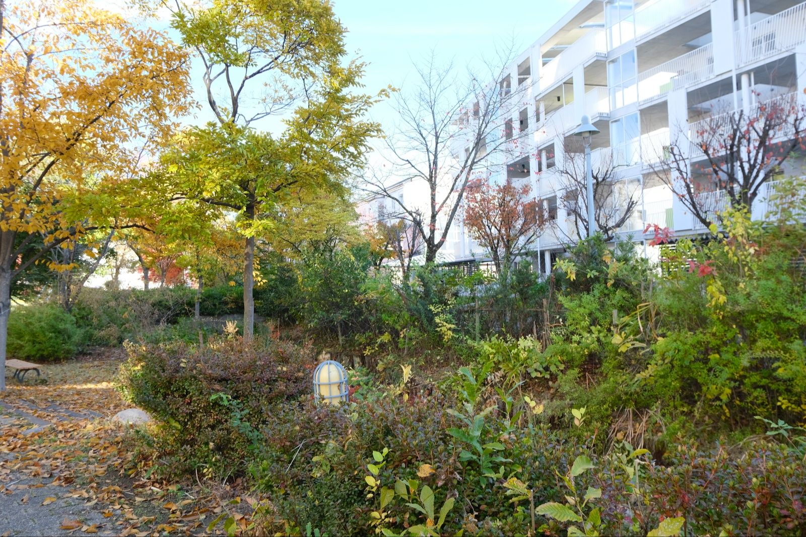 今井ニュータウン